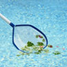 Classic Aluminum Leaf Rake with blue trim. Shown skimming leaves off surface of pool. Pole is not included.