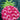 Pink Pineapple Pool Float in Water