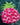 Pink Pineapple Pool Float in Water