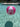 Pink Flamingo Beach ball in water