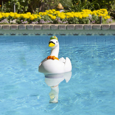 Goose Chlorine Dispenser. Perfect size for small pool or spa. Floating in swimming pool