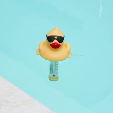 Yellow Derby Duck Thermometer floating in water
