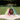 Rainbow Sliding Mat Plus Sprinkler